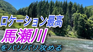 ロケーション最高！馬瀬川をバリバリ攻めてみる