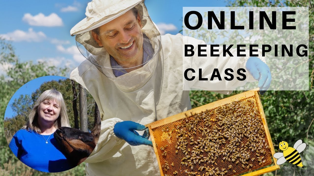 Beekeeping For Beginners Online Class From A Master Beekeeper Youtube