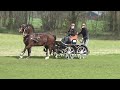 fahrturnier heek 2016 h1 ludger schwitte