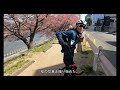 岡崎天満宮の枝垂れ梅と乙川沿いの葵桜