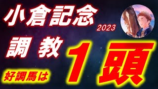 小倉記念2023　追い切り診断　マリアエレーナ、ククナ、エヒト等　元馬術選手のコラム by アラシ