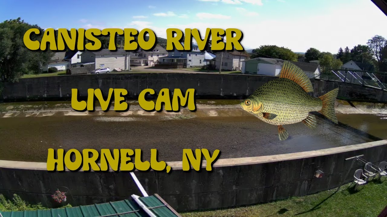 Canisteo River Live Cam 24 7 Hornell New York 9 22 2024 Youtube