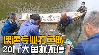 娄娄去盘野鱼塘，偶遇专业打鱼队二十斤大鱼抓个不停一个字爽【海派小娄娄】