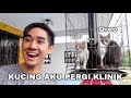 KUCING AKU SAKIT 😢 BAWA PERGI KLINIK 😊