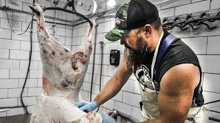 How to skin a Lamb | The Bearded Butchers