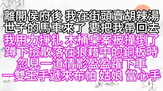 離開侯府後，我在街頭賣胡辣湯，世子的馬車來了，要把我帶回去，我用力掙扎，木桶桌案被撞倒了，蹲下撿散落在狼藉中的銅板時，忽見一道倩影，盈盈躍下車，一雙玉手遞來布帕，姑娘，當心手【幸福人生】#為人處世