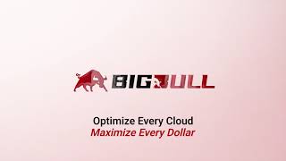 AI-Powered Cloud FinOps by BigBull Technology | Cut Cloud Costs by 40%