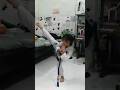 Kungfu Teakwondo High Kicks Funny Cute 2024