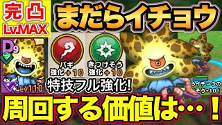 【ドラクエタクト】新ドロキャラまだらイチョウ完凸Lv.MAX！使えるところはあるのか！？