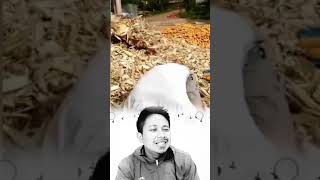 Gak Nanggung #funny #reaksilucu #comedy #funnyclips