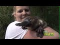 travel australia. platypus only in australia