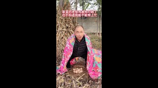 #青春狂欢节 #逗乐夫妻666 家里老母鸡被狗叼跑了，不知道我能不能帮上忙