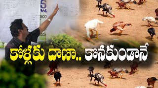 కోళ్ల పెంపకంలో తక్కువ ఖర్చుతో దాణా  || Naatukolla Pempakam - 4 || Dr.Ch. Ramesh