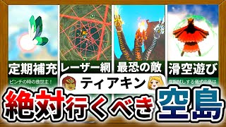 【ティアキン】空島に関する小ネタ集まとめてみました！