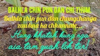 Balhla chin pun dan chi thum.