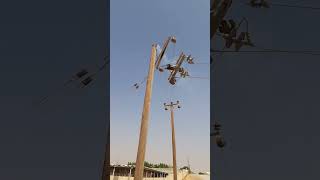 Electricity poles got burnt due to humidity #viralvideo #shortvideo #youtubeshort