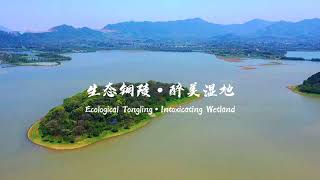 Ecological Tongling · Intoxicating Wetland