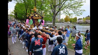 2019/04/14・浮間さくら草まつり・神輿