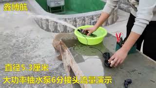 德國進口抽油泵12v大功率150w柴油泵24v大流量抽水泵自吸加油泵小 客服LINE:DSL0217