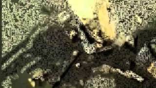 Cellular Automata Video Processing Experiments
