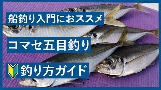 🔰船釣り入門 コマセ五目 釣り方ガイド【アジ・イナダ・サバetc.】