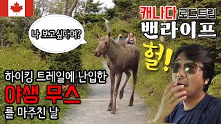 캐나다 노바 스코샤 주의 보물 케이프 브레튼 섬 Cabot Trail, Cape Breton Island Ep.22