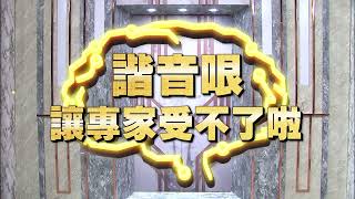 《全民星攻略》諧音哏讓專家受不了啦？