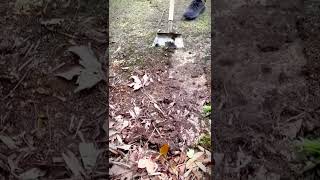 unique shovel for cleaning moss and soil #shorts