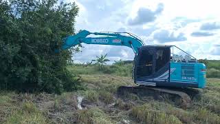 งานนี้เกือบจม kobelco sk140lc-11 เจอดินกระทิขุดปลวกต้นข่อยกลางทุ่งนา excavator