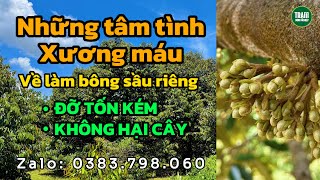 Những tâm tình về làm bông sầu riêng để 