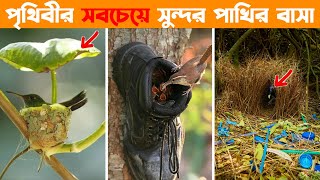 এই পাখির বাসা গুলোর কাছে তাজমহলও ফেল | Most Beautiful Bird Nests in the World