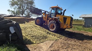 Last Of The Maize Is Arriving