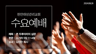 20240828 천안대성교회 수요예배 live | 김진만 목사 | 큰 두루마리의 심판 | 스가랴 5장 1~4절