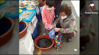 대한민국 어촌 시골 재래시장 (창조와 파괴)A Korean Traditional Market (Creation \u0026 Destruction)