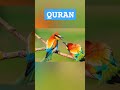 Surah Saba Urdu translation #alquran #shorts