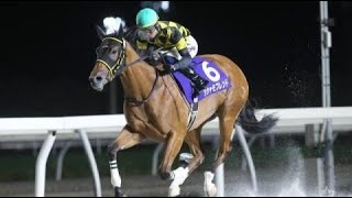 リリーカップ〔H3〕　ダ1000m (右)　　シシャモフレンド　牝2　54.0　落合玄太　2023.7.13　　出走馬：オーソレリカ、シトラルテミニ、ミライヘノメグミ、モズミギカタアガリ他