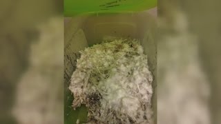 Pitt Co. deputies bust $10K mushroom grow operation