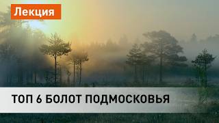 Верховые болота Подмосковья - уголки северной природы в Центральной России