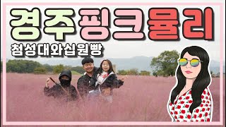 4K 경주여행 첨성대 핑크뮬리 / 십원빵 / 첨성대 둘러보기 / 경주아이와가볼만한곳 추천