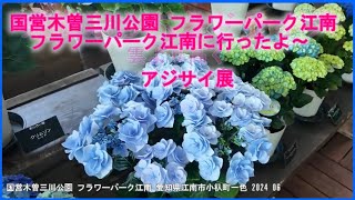 国営木曽三川公園 フラワーパーク江南 アジサイを見に行く 2024 06 08 愛知県江南市小杁町一色  東海ぶらぶらドライブ