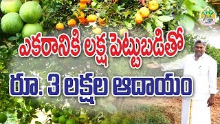 అతి తక్కువ పెట్టుబడితో అధిక లాభాల సాగు || రైతు కుందురు వెంకట్ రెడ్డి || Farmer Success Story