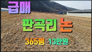 (매물번호195번) 무안면 판곡리 작은토지(논) 365평 매매당 13만원 #밀양부동산 #밀양토지 #밀양논