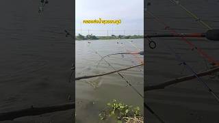 คลองส่งน้ำสุวรรณภูมิ #ตกปลาหน้าดิน #คลองส่งน้ำสุวรรณภูมิ #fishing #ตกปลา #บ่าวหนิงฟิชชิ่ง