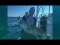 spearfishing tournament day sept 10 2016