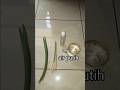 BAHAN2 ESSEN NILA campuran lumut || bikin sendiri dirumah #tutorial #mancing #nila #abisaputra