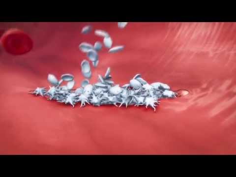 Why is platelet not a true cell?