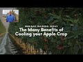 The Many Benefits of Cooling your Apple Crop By Brad Holliday