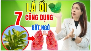 Uống nước lá ổi có tác dụng gì? TOP 7 công dụng trị bệnh nổi bật từ lá ổi | Đỗ Ngọc Diệp