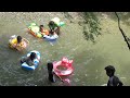 playing in the river in the ino river where cicadas sing swimming carp 川遊び、セミが鳴く猪野川で（鯉も泳ぐ）