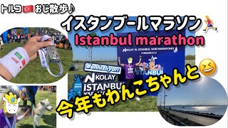 トルコ🇹🇷イスタンブールマラソン🏃‍♂️2023【トルコ🇹🇷おじ散歩♪】#istanbul #イスタンブール #トルコ #turkey #マラソン #maraton #いぬ #綺麗